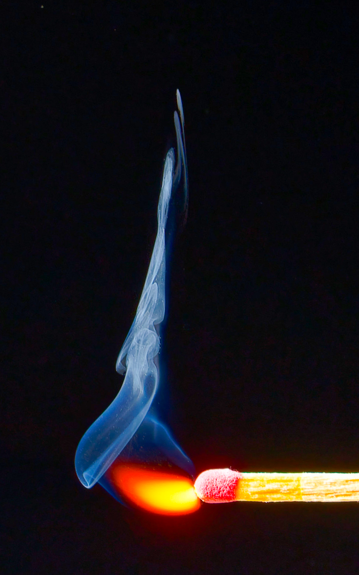 DSC03611